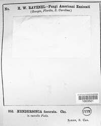 Image Associated With the Occurence